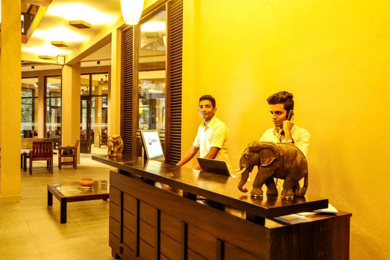 Oak Ray Wild Yala Hotel Tissamaharama Ngoại thất bức ảnh